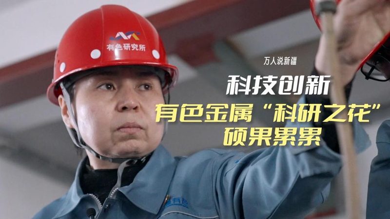云原生架构持续交付：构建高效IT系统的关键路径